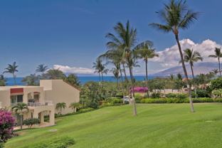 3150 3150 Wailea Alanui 3103 - Photo 1 of 1