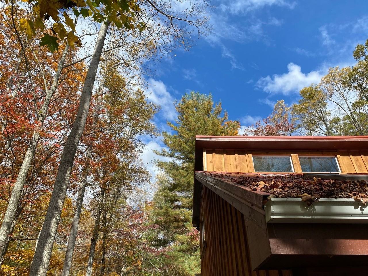 143 Red Huckleberry Ln - Photo 3 of 11