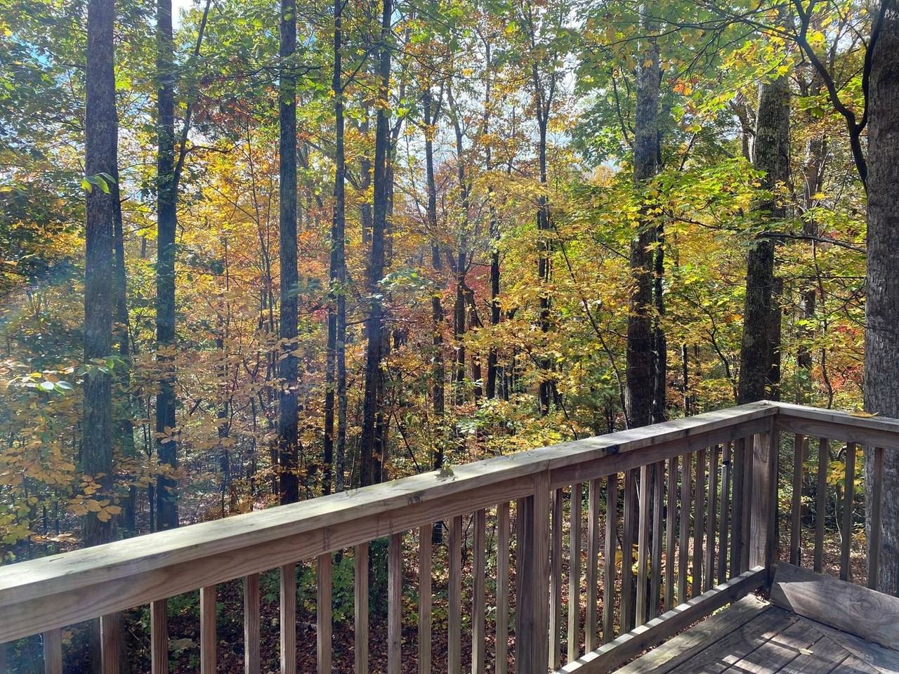 143 Red Huckleberry Ln - Photo 4 of 11