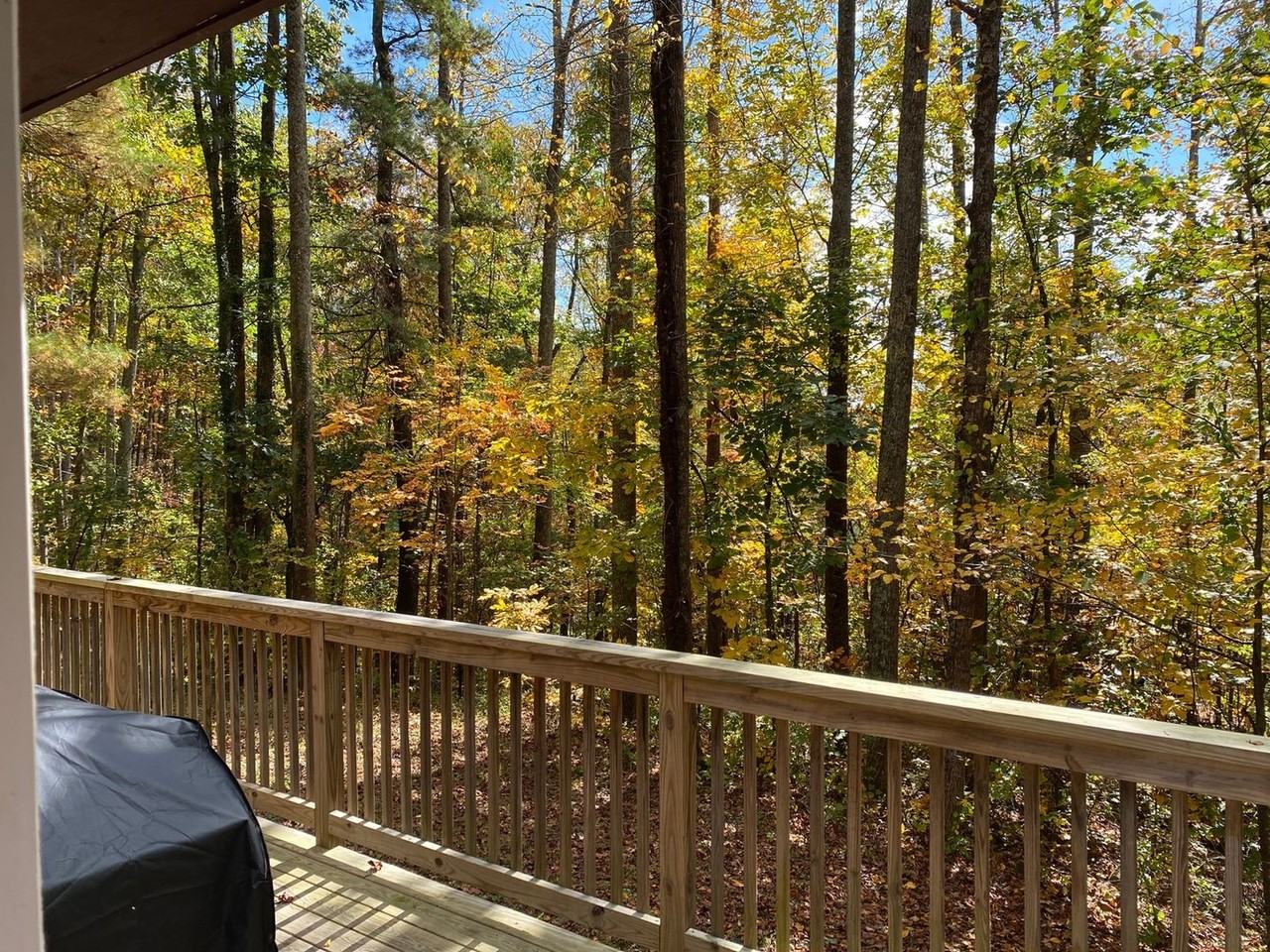 143 Red Huckleberry Ln - Photo 5 of 11