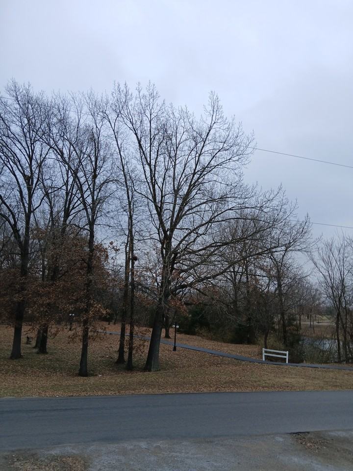 211 S Greenbriar Rd - Photo 2 of 23