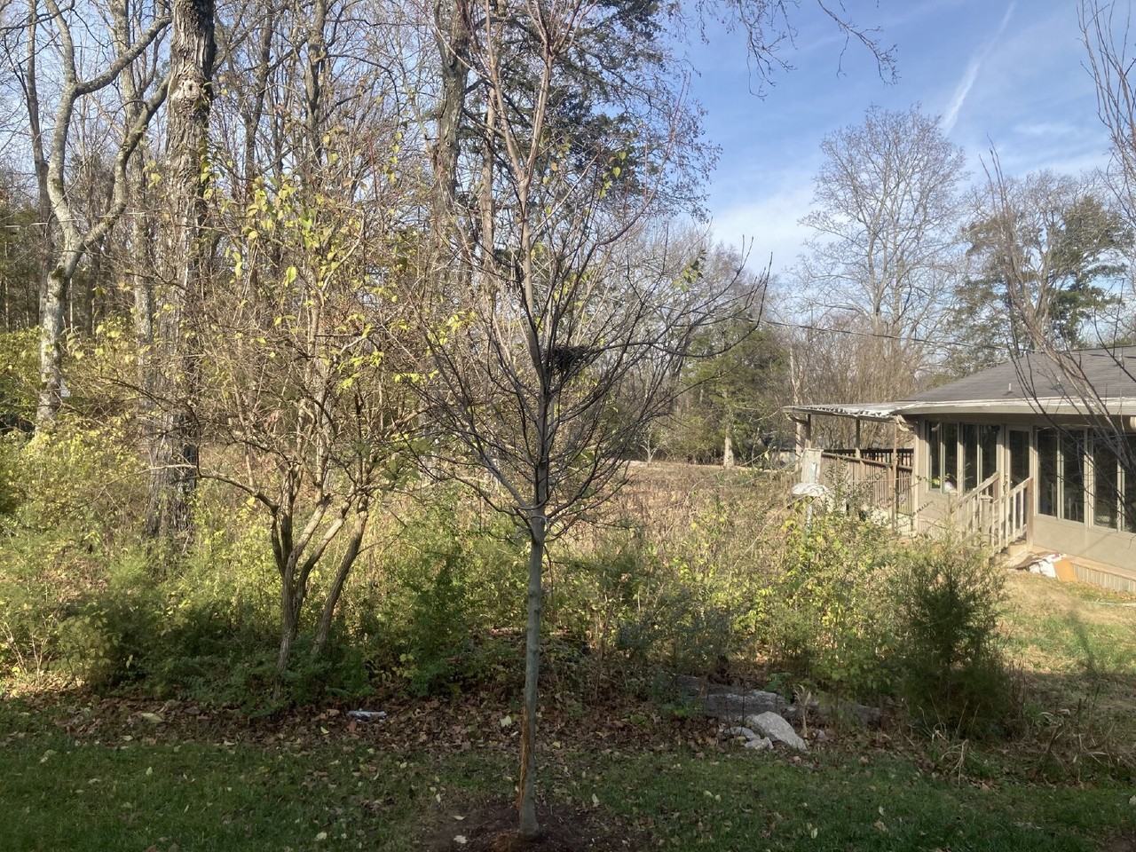 1241 Hope Village Way - Photo 7 of 26