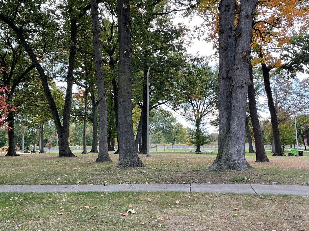 1177 Connie Ave - Photo 2 of 10