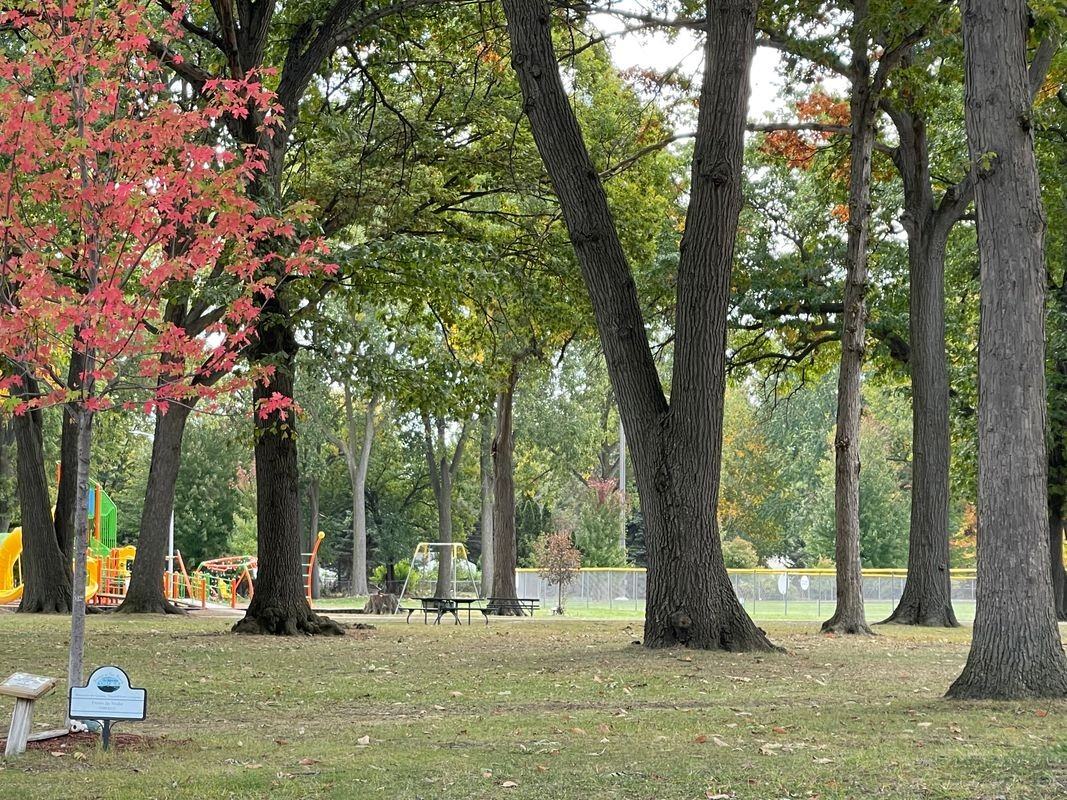 1177 Connie Ave - Photo 3 of 10