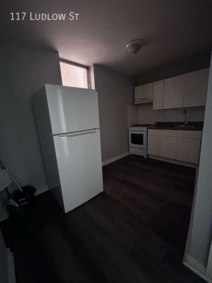 117 Ludlow St - Photo 4 of 4