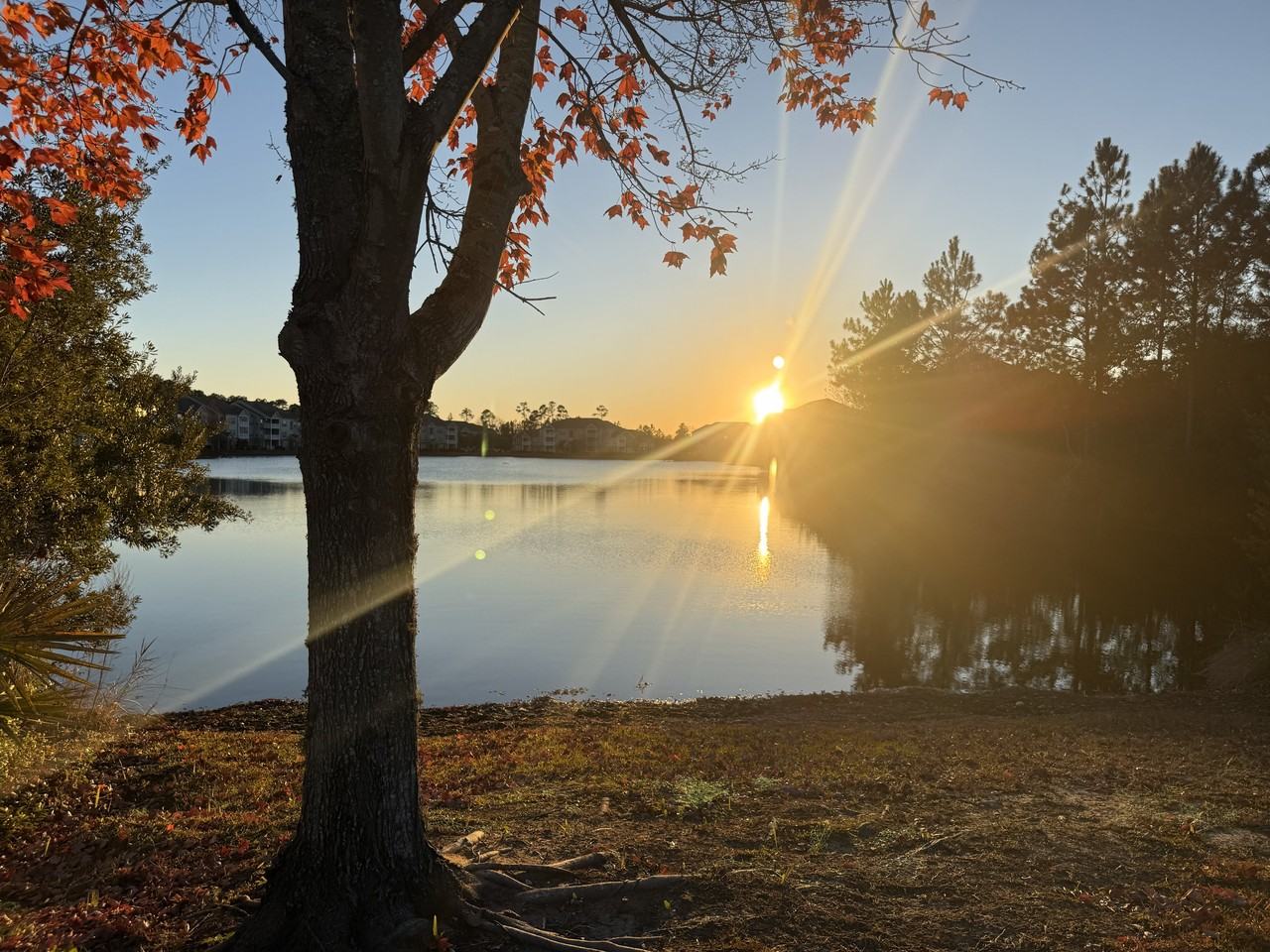 210 Bottlebrush Walk - Photo 3 of 20