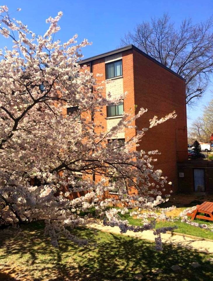 3230 S 28th St #202 - Photo 5 of 8