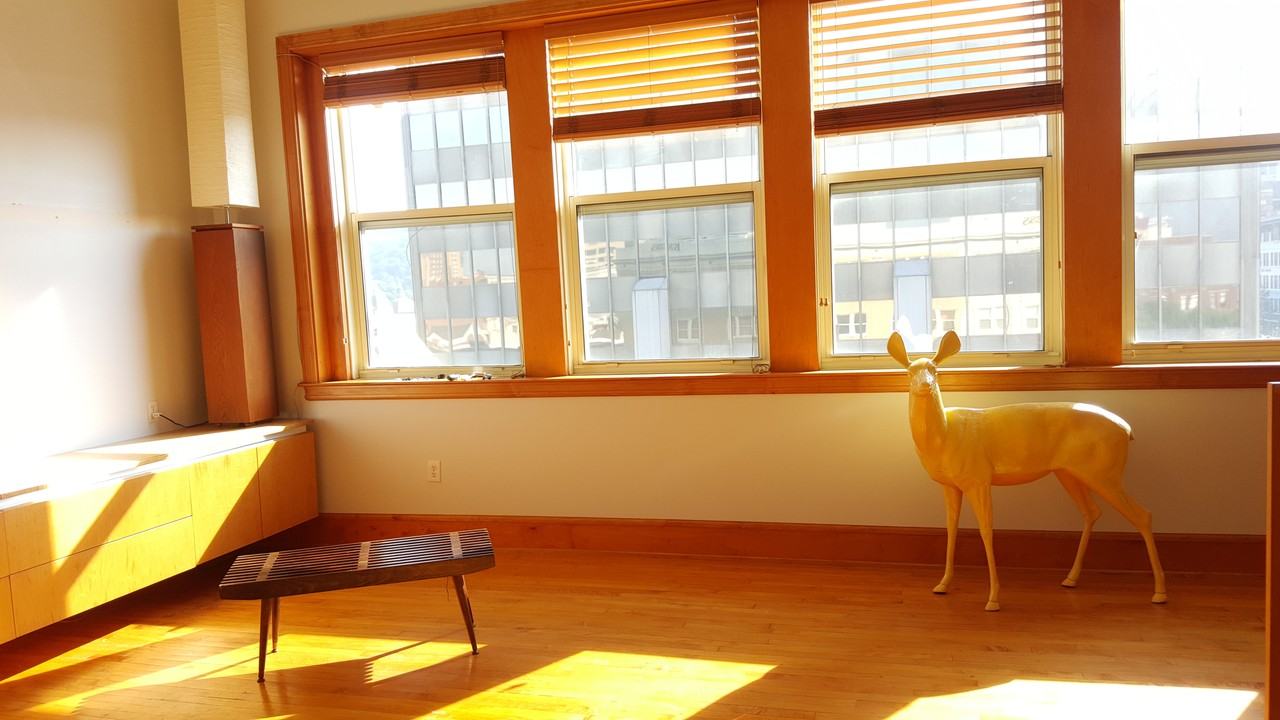 59 College St #404 - Photo 6 of 13