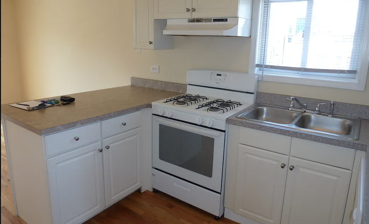 1542 W Chestnut St #3F - Photo 4 of 13