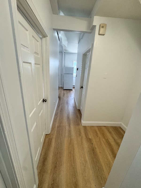 294 Spruce St #1 - Photo 6 of 6