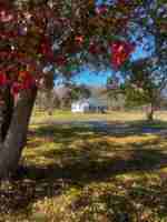 featured image of 268 Green Springs Ln