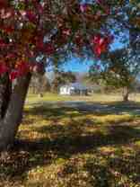 268 Green Springs Ln - Photo 1 of 1