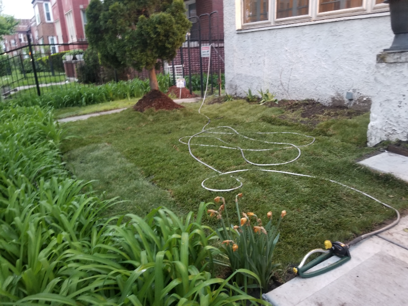 7330 S Yates Blvd #1 - Photo 3 of 19