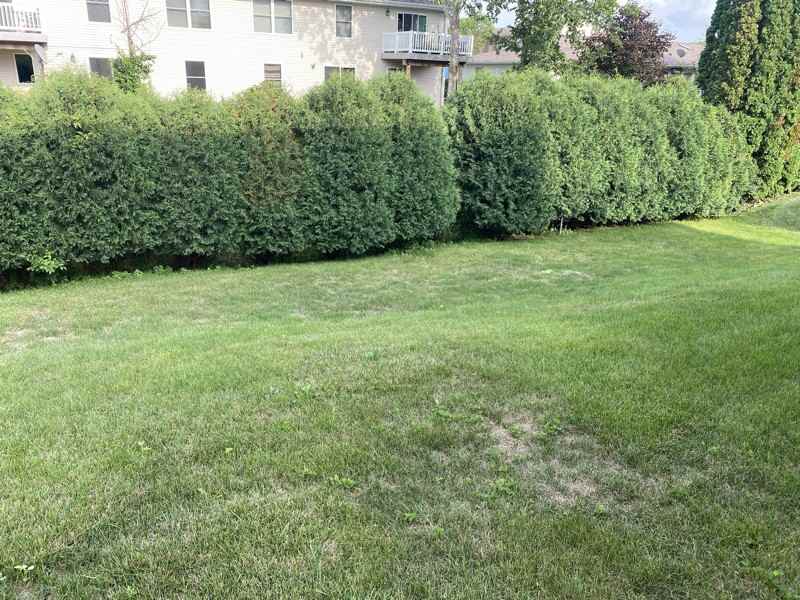 1542 Lucy Dr - Photo 3 of 10