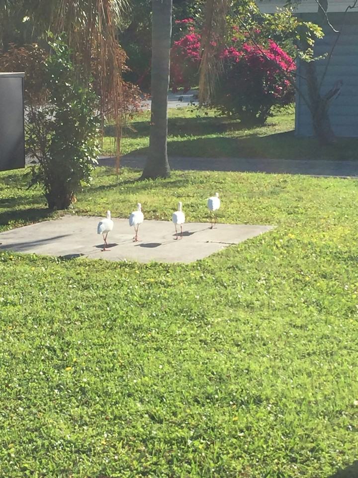 10464 106th Avenue North, Unit 8 - Photo 3 of 10