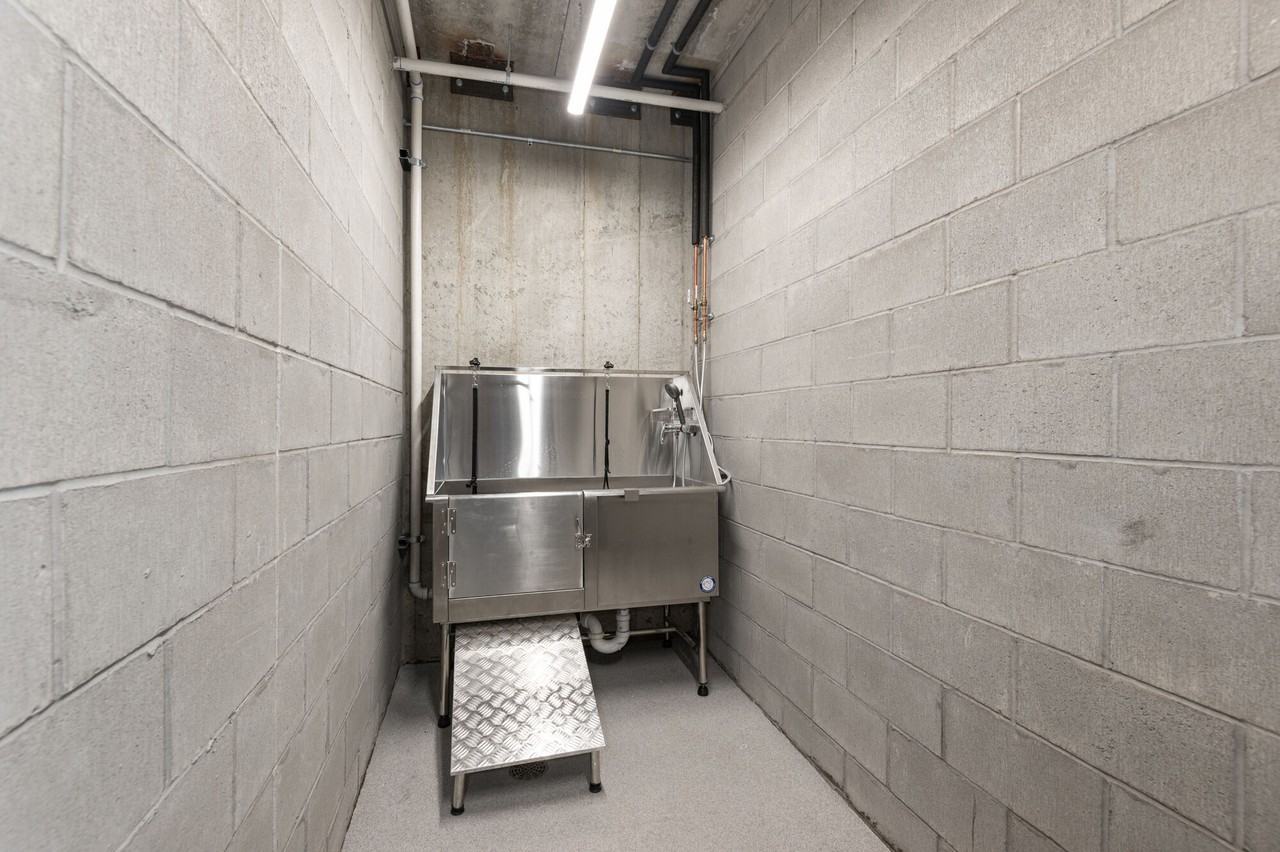 The Uptown Apartments - Photo 6 of 30