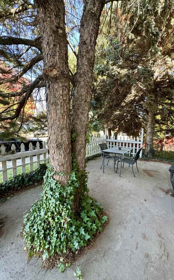 E 15th N #B - Photo 3 of 28