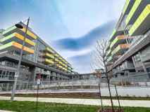 333 Sunseeker - Photo 1 of 1