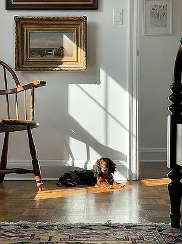 80 Cranberry St - Photo 4 of 7