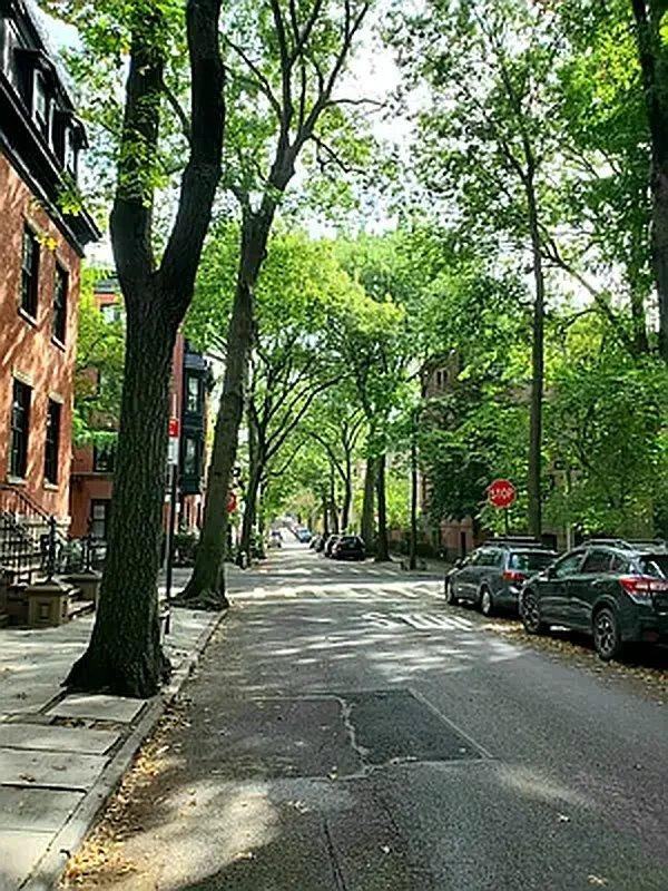 80 Cranberry St - Photo 5 of 7