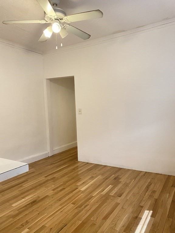 2031 Commonwealth Ave Apt 2 #2 - Photo 2 of 8