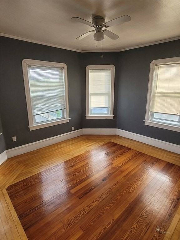 303 Cambnridge Street unit: Apt 3 #3 - Photo 2 of 9