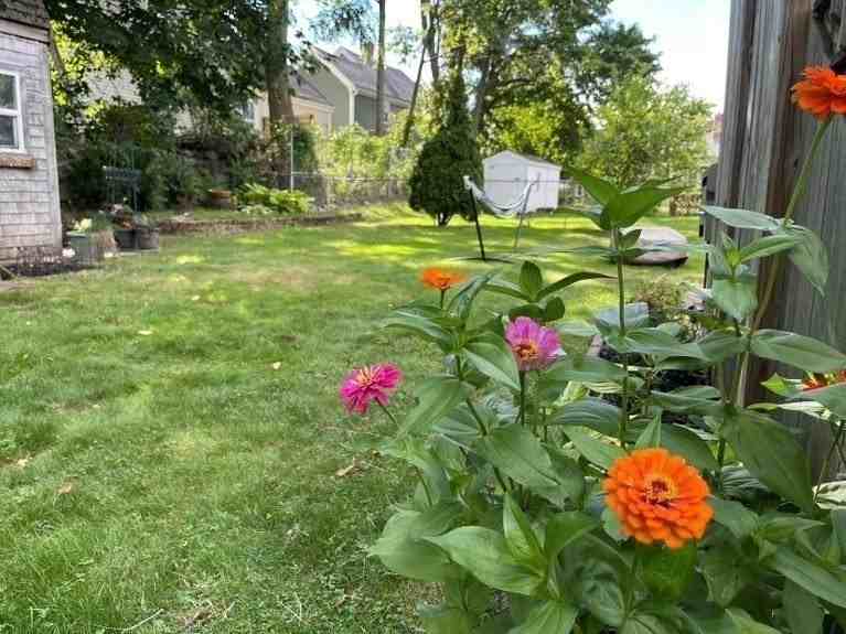 101 Bolivar St Unit 1 #1 - Photo 6 of 19