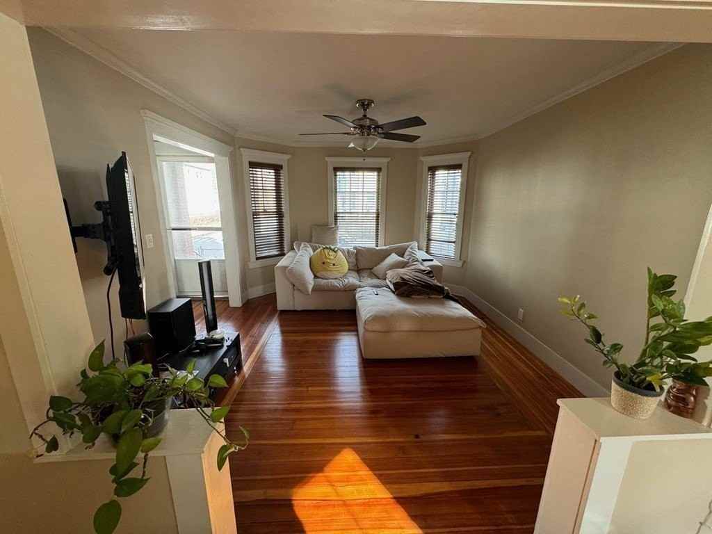 40 Sydney St Unit 1 #1