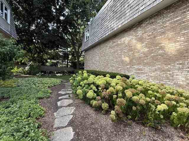 1924 Wilmette Ave Unit D #D - Photo 3 of 26