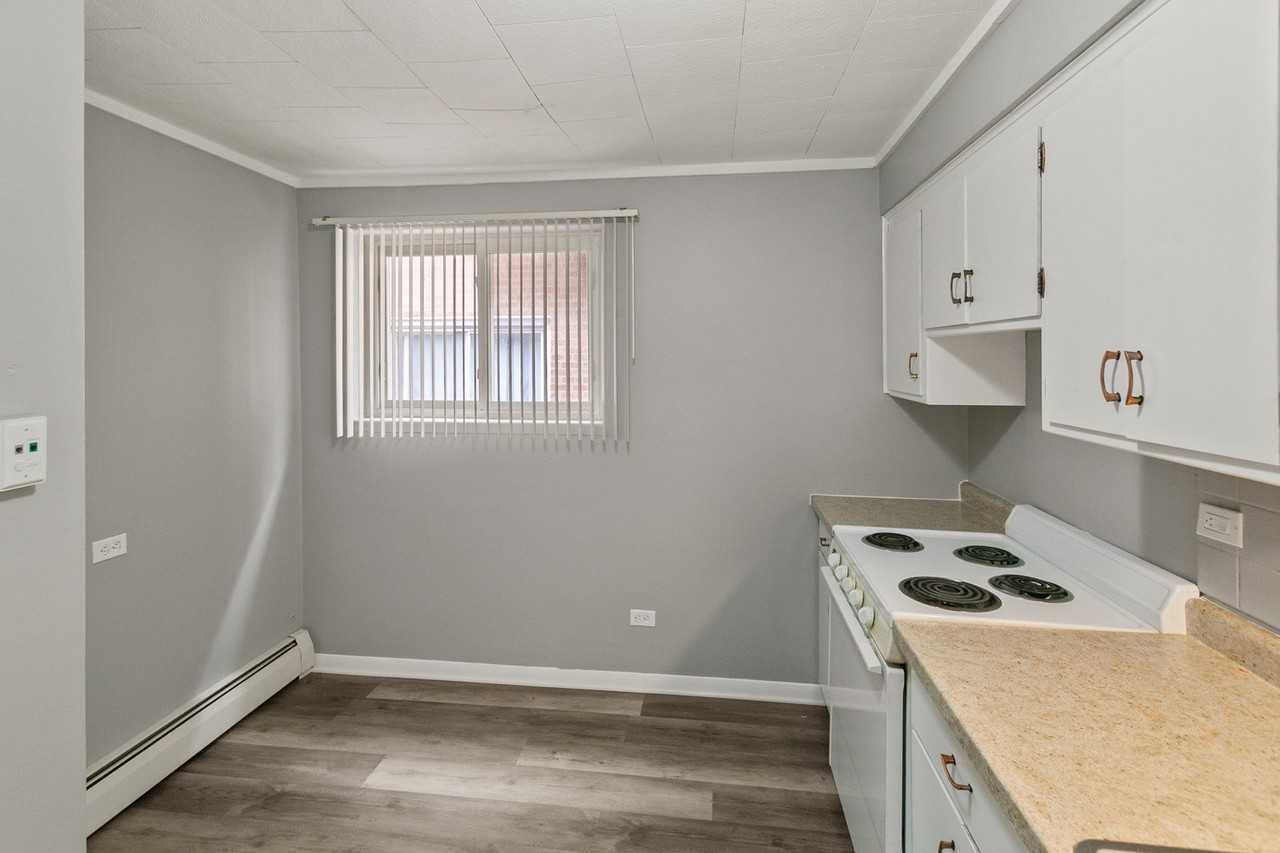 3007 W 87th St Apt 4 #4 - Photo 6 of 9