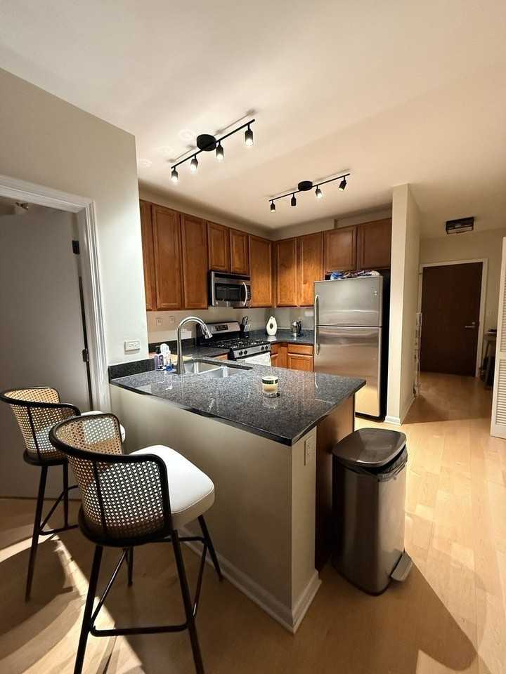 1255 S State St Unit 905 #905 - Photo 2 of 11