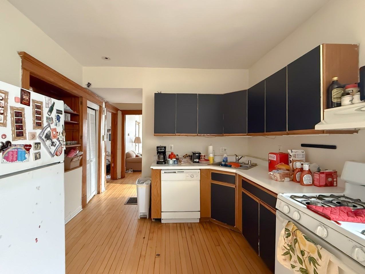 2442 N Ashland Ave Apt 3 #3 - Photo 7 of 16