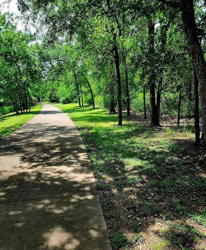 Loquat Ln - Photo 4 of 22