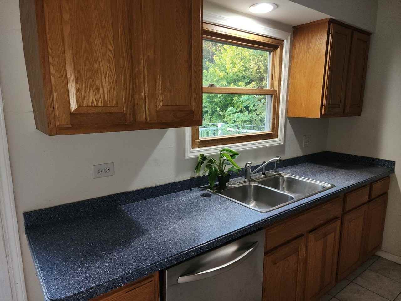 39W496 Hemlock Dr Unit 0 #0 - Photo 3 of 12