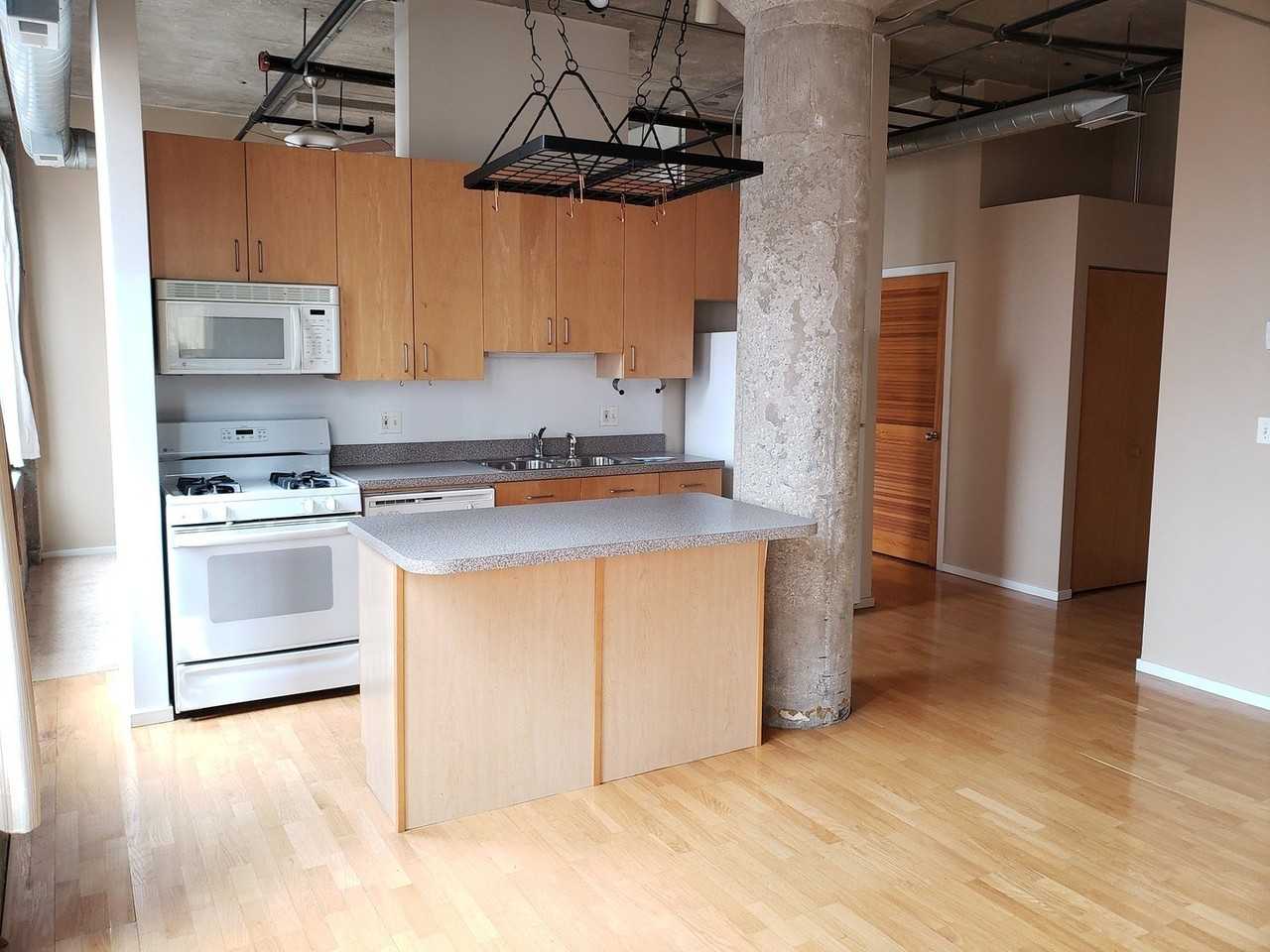 1516 S Wabash Ave Apt 508 #508 - Photo 6 of 14