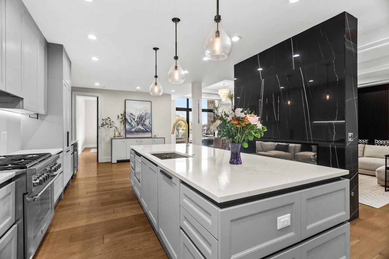 1425 W Fullerton Ave Unit 3n #3N - Photo 6 of 15