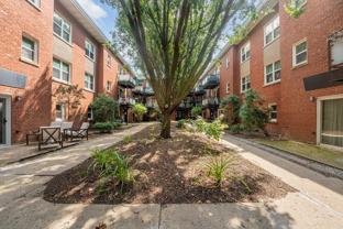 6429 N Damen Ave Apt 3s #3S - Photo 1 of 1