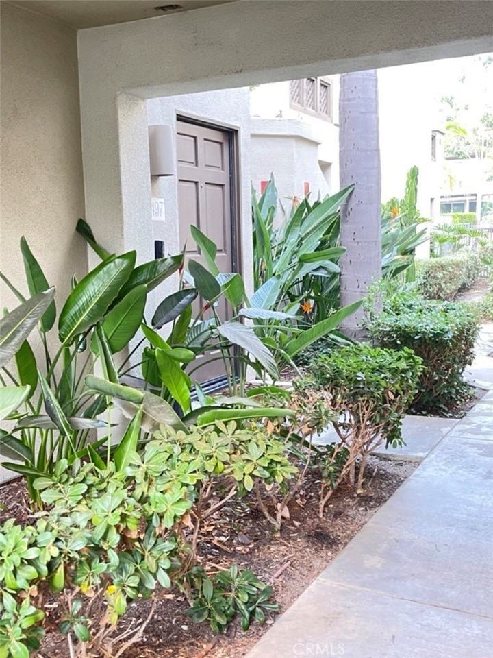 26497 Verdugo - Photo 4 of 22