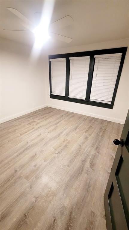 1204 Live Oak St - Photo 6 of 14