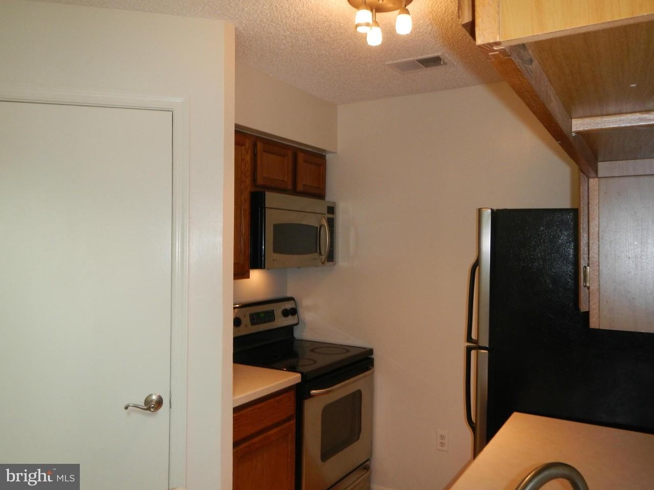 10817 Amherst Ave Apt F #F - Photo 4 of 13