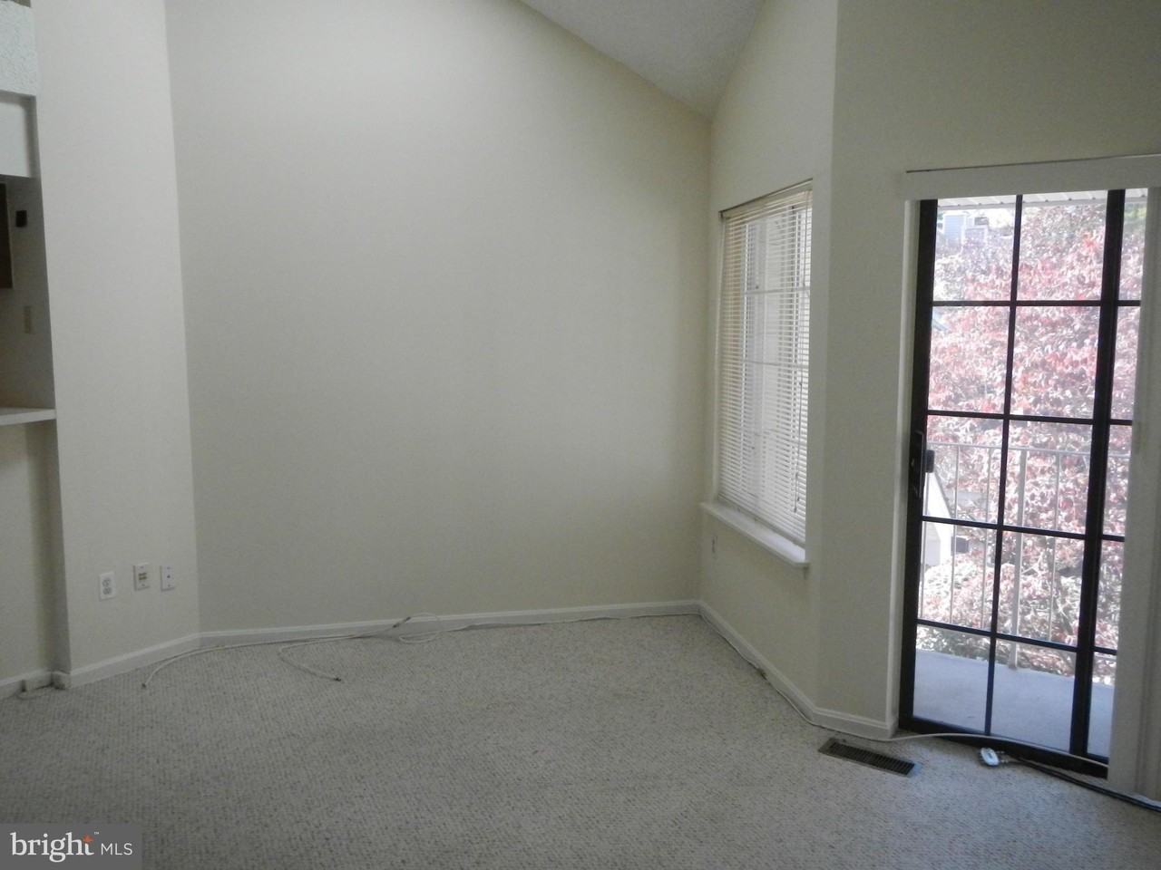 10817 Amherst Ave Apt F #F - Photo 5 of 13