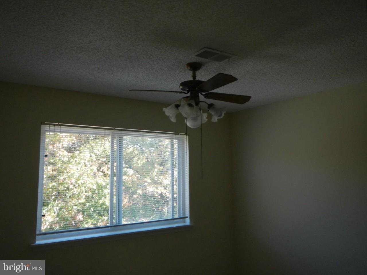 10817 Amherst Ave Apt F #F - Photo 7 of 13