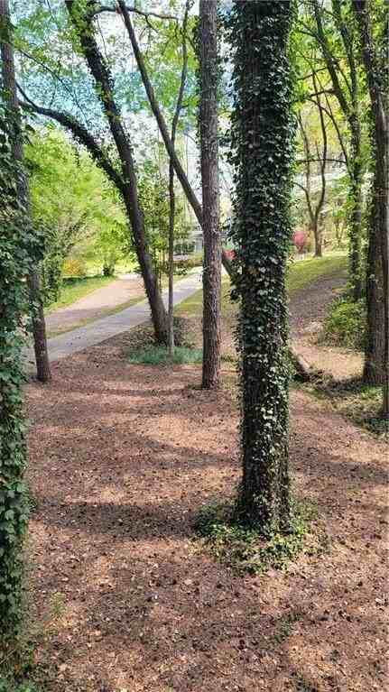 4621 Kings Crossing Dr Ne - Photo 5 of 31