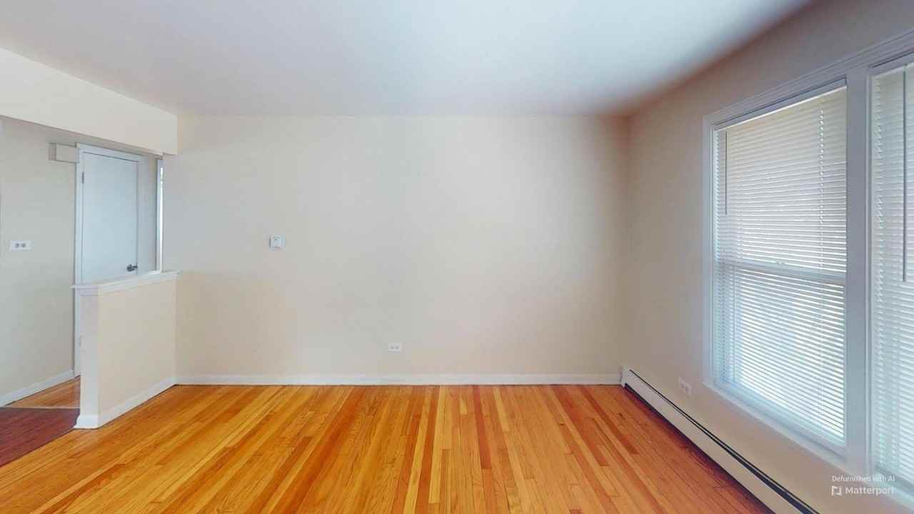 875 E 87th Pl Apt 3w #3W - Photo 3 of 10