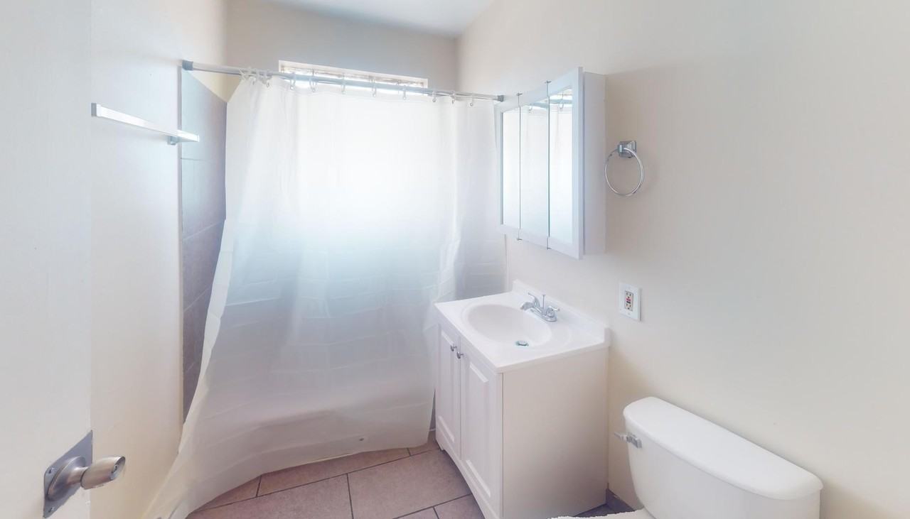 875 E 87th Pl Apt 3w #3W - Photo 6 of 10