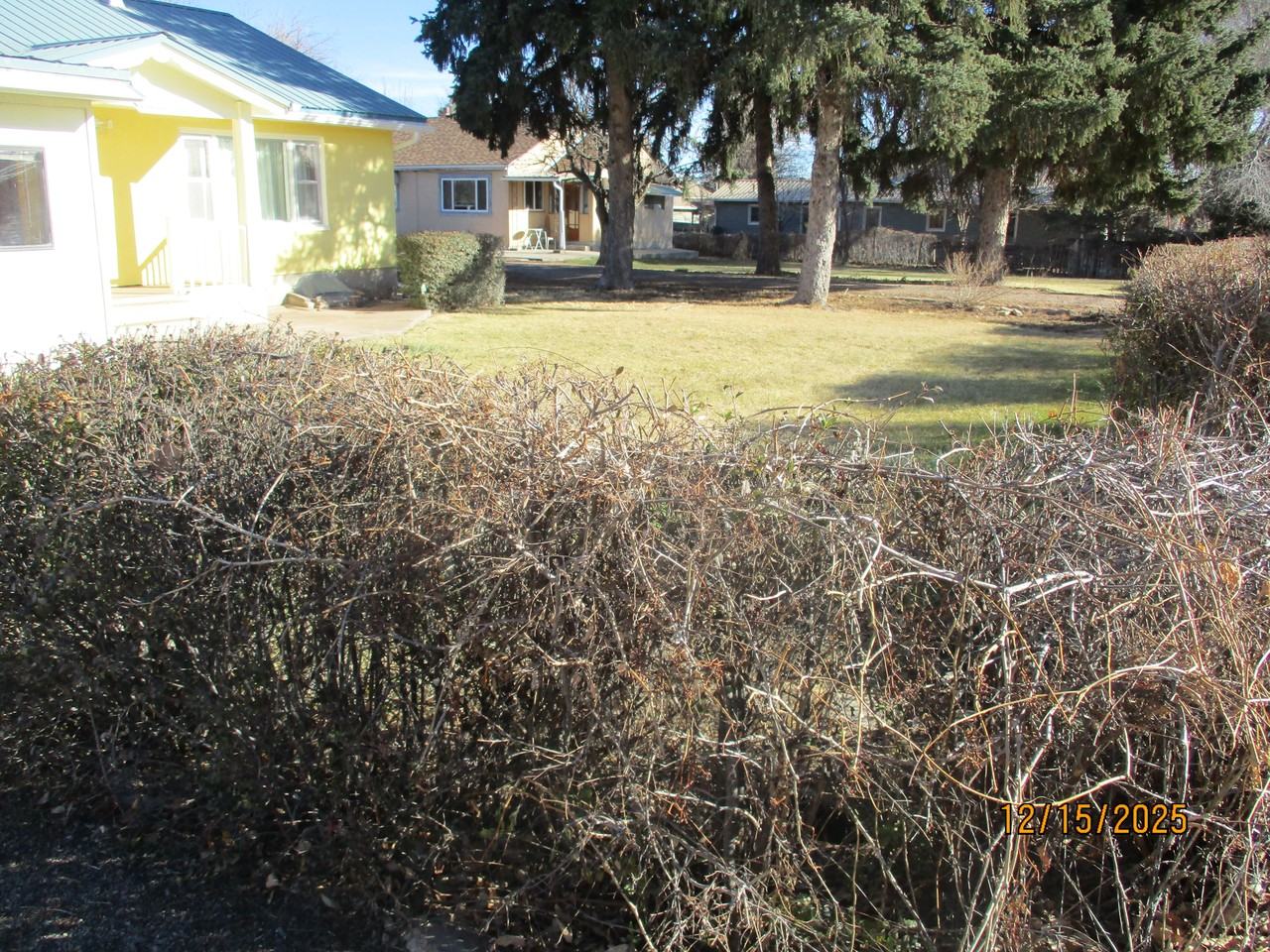 1519 Poplar Ave - Photo 3 of 10