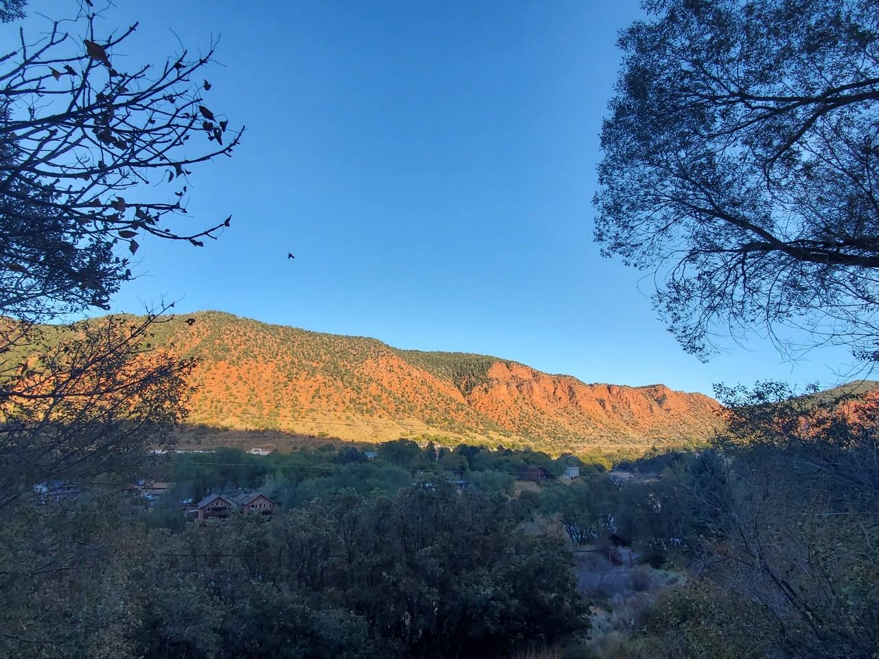 773 County Road 117 - Photo 7 of 11