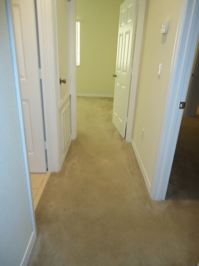 1612 Cumin Dr - Photo 6 of 10