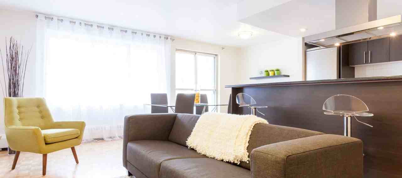 LUNA - Photo 4 of 38