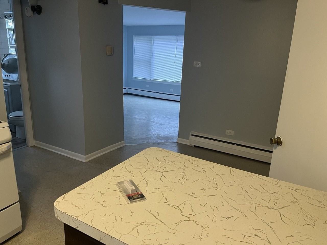 13940 S Edbrooke Ave Apt 2w #2W - Photo 3 of 11